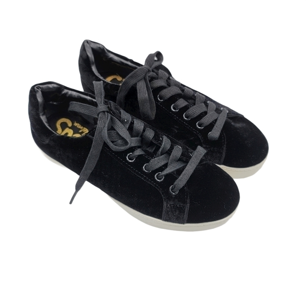 Circus Sam Edelman Caprice Velvet Sneaker Size 6M